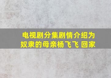 电视剧分集剧情介绍为奴隶的母亲杨飞飞 回家